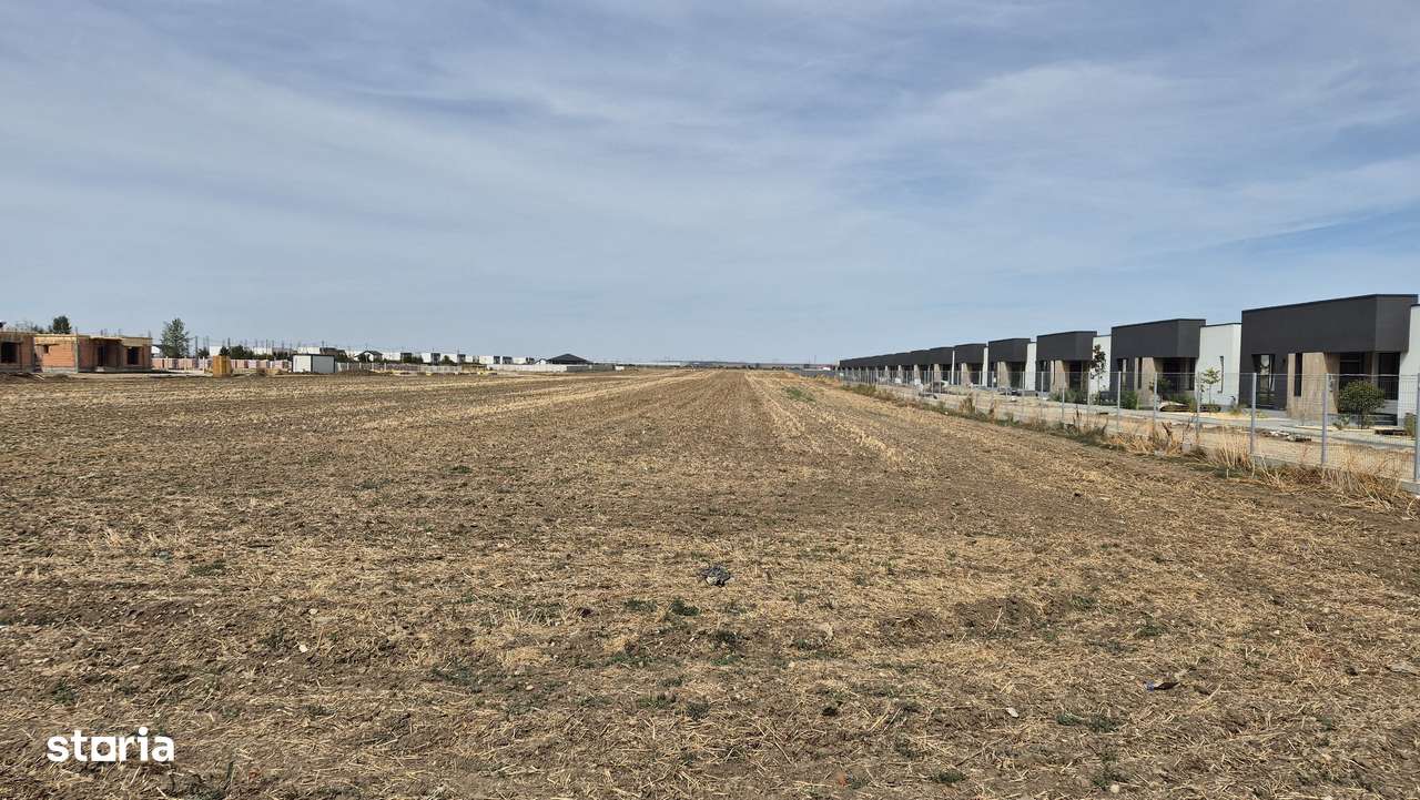 Teren intravilan 16.248 mp - Domnesti - Imagine principală: 5/5