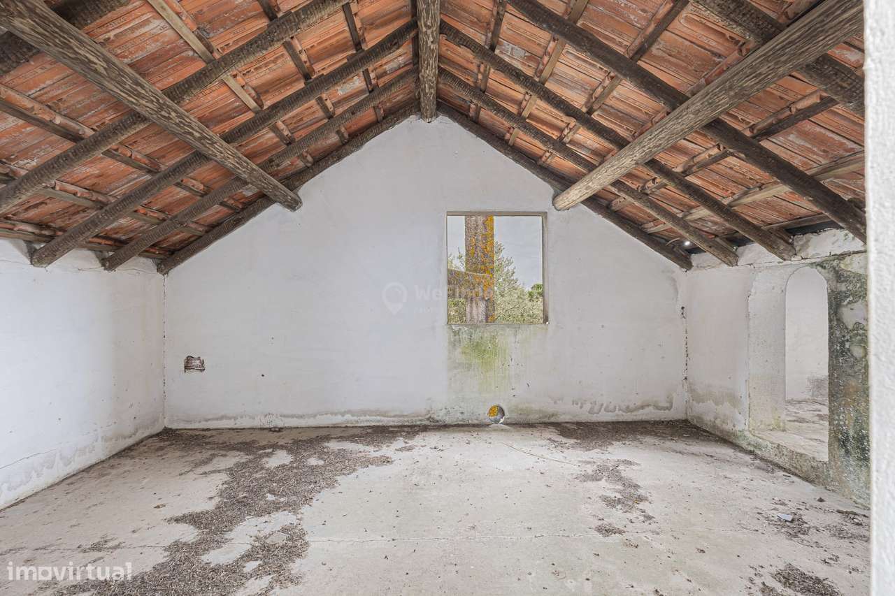 Quinta do Sol - Pegões-36