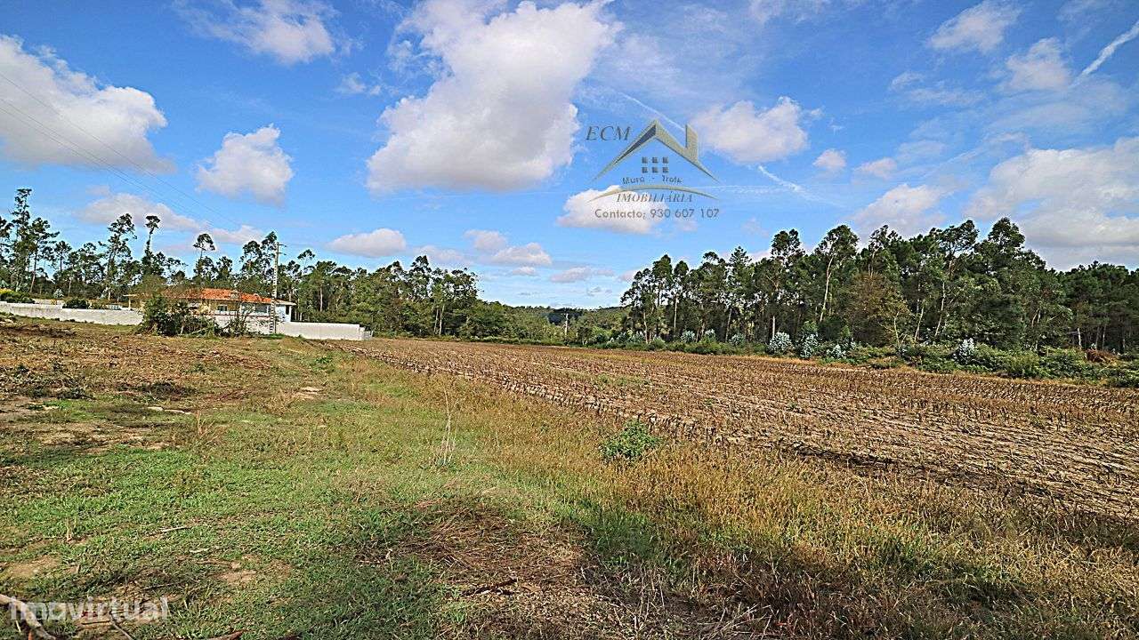 Terreno 20.000m/2 Macieira da Maia-24