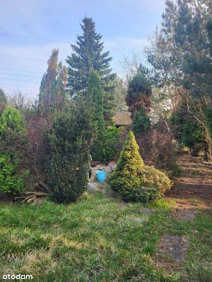 Działka Rod | 492 m2 | Wrocław Grabiszyn - Pełny obrazek: 5/7