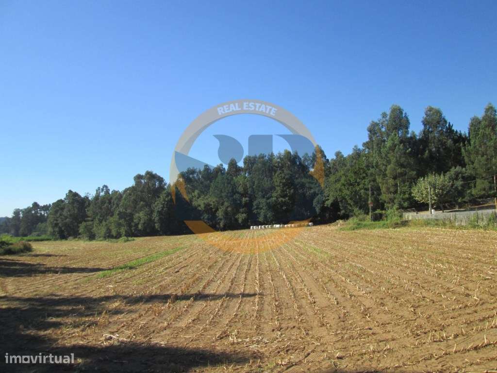 Terreno Venda São Vicente Pereira - Grande imagem: 2/9