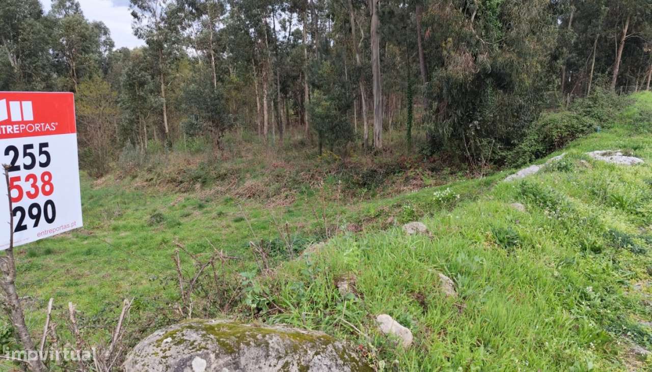 Venda Terreno, Vila Boa do Bispo, Marco de Canaveses - Grande imagem: 5/14