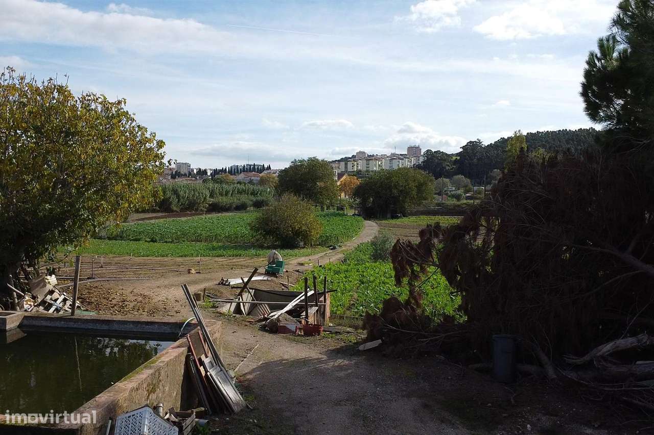 A Quinta da Repina, 18 660 m2 em cidade, no Barro em Loures-23