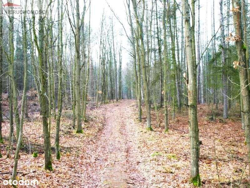 Działka - Świetlikowo-6