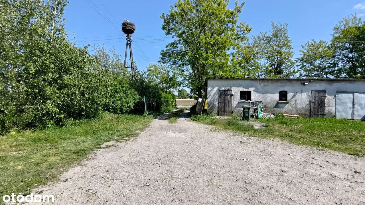 Dom z budynkami gospodarczymi i dużą działką. - Pełny obrazek: 3/10