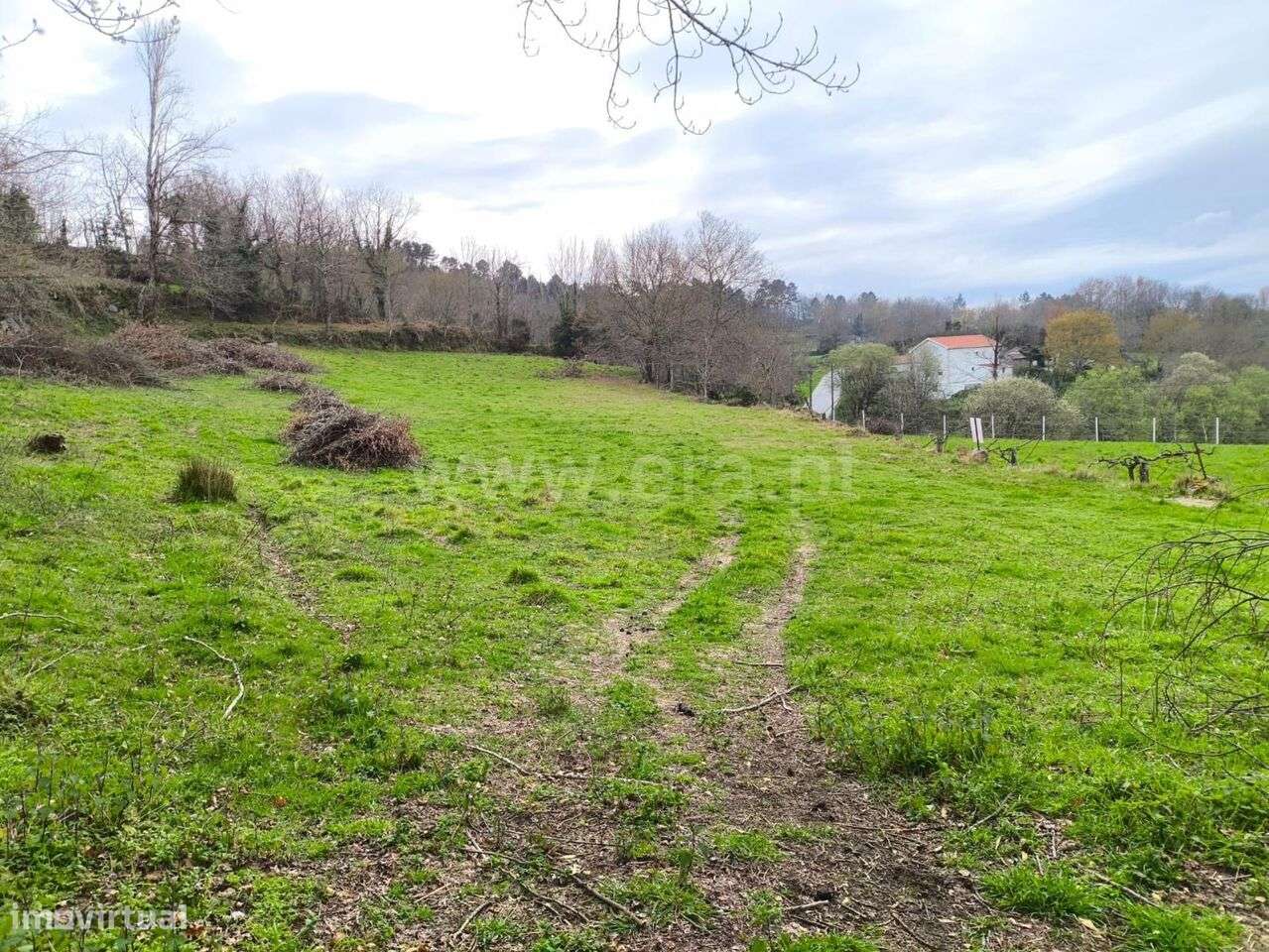 Terreno / Baião, Campelo e Ovil - Grande imagem: 5/11