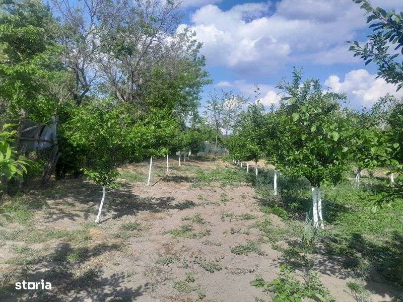 Vand teren intravilan - Imagine principală: 4/6