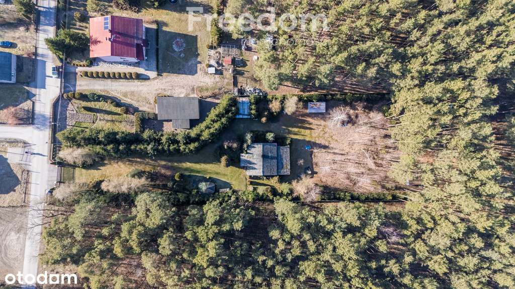 Dom do remontu na dużej działce - Pełny obrazek: 4/6