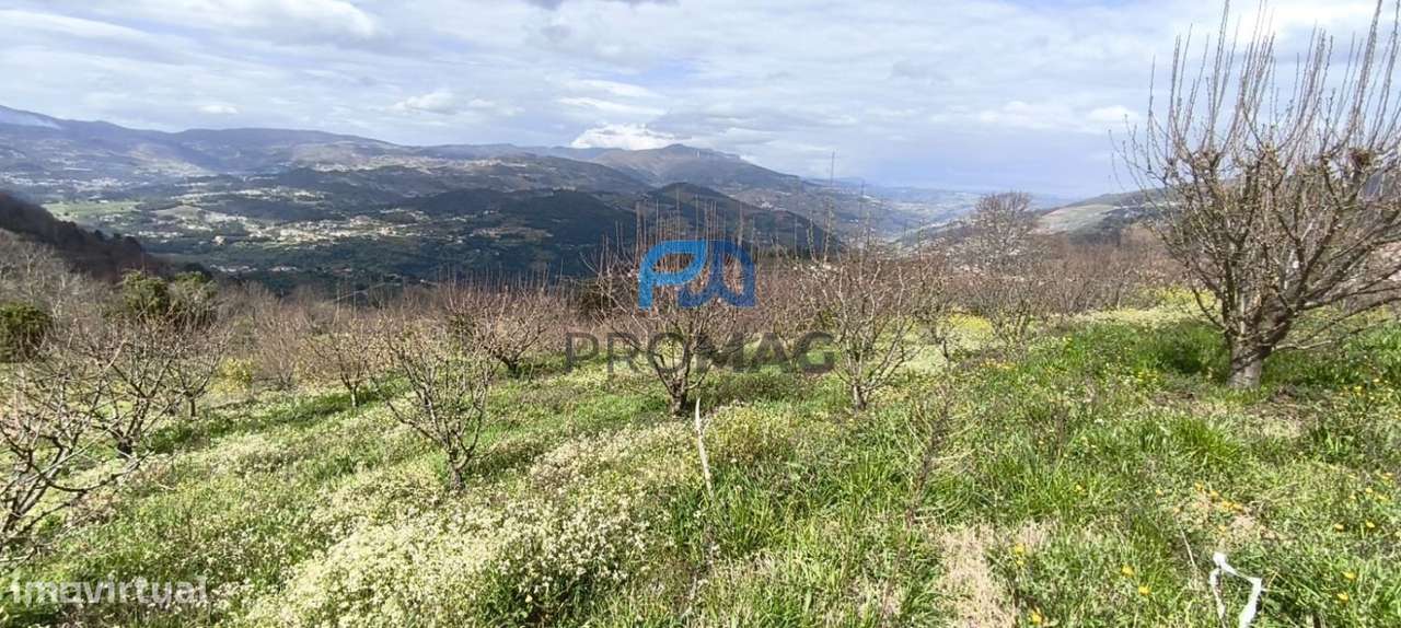 Terreno Urbanizável de 7959 m² com Armazém-28