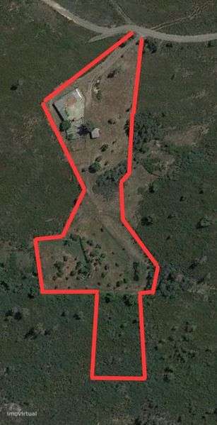 Quinta à venda no Salgueiro do Campo com 1,462hectares e moradia 107m2 - Grande imagem: 5/6