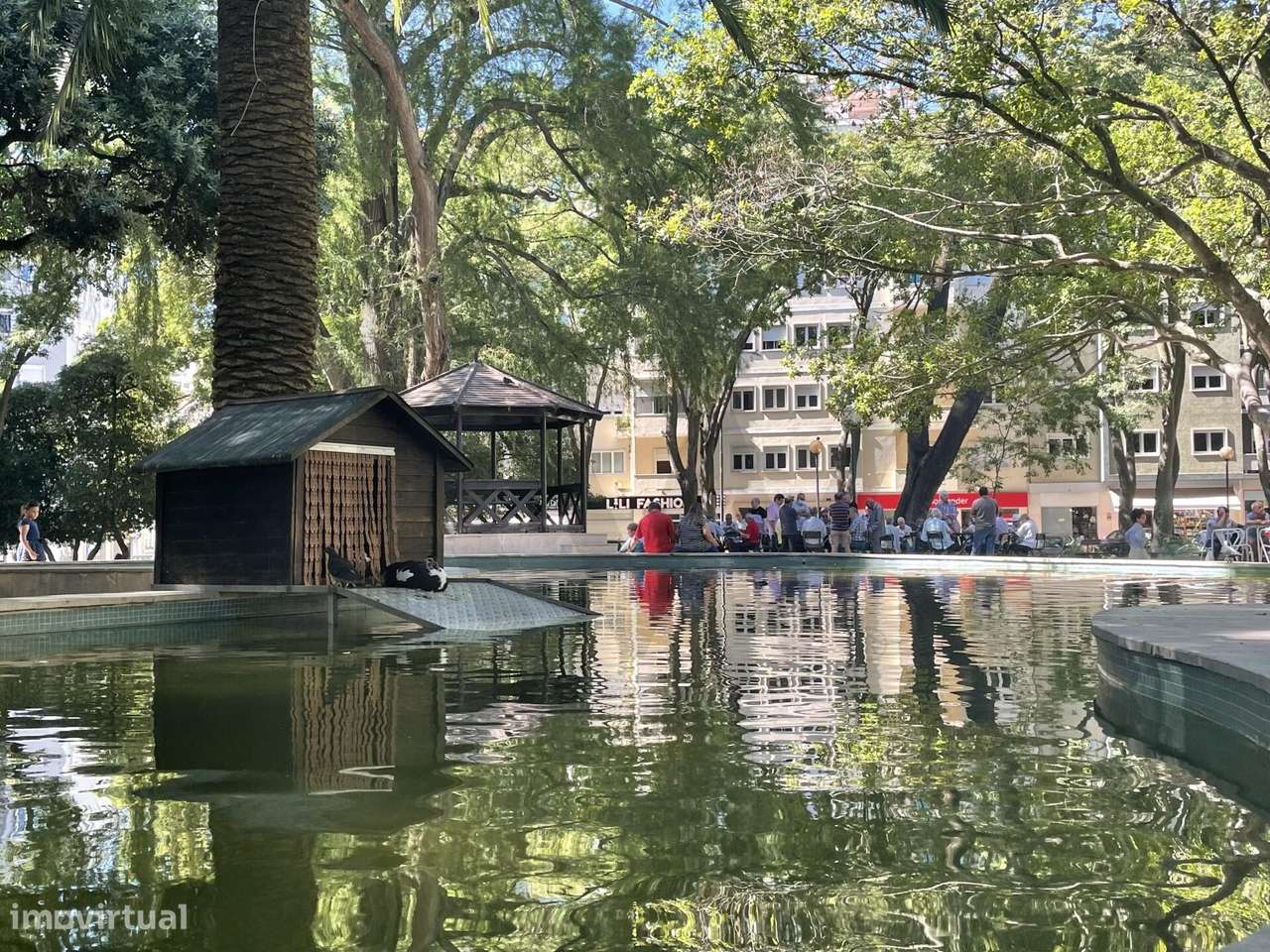 Apartamento em Campo de Ourique com afetação de comércio - Grande imagem: 3/7