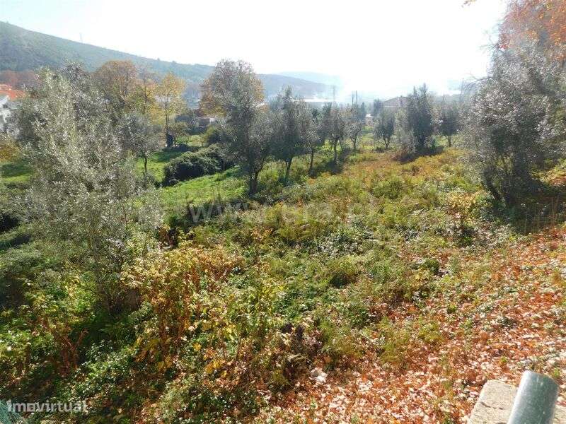 Terreno / Covilhã, Unhais da Serra - Grande imagem: 5/13