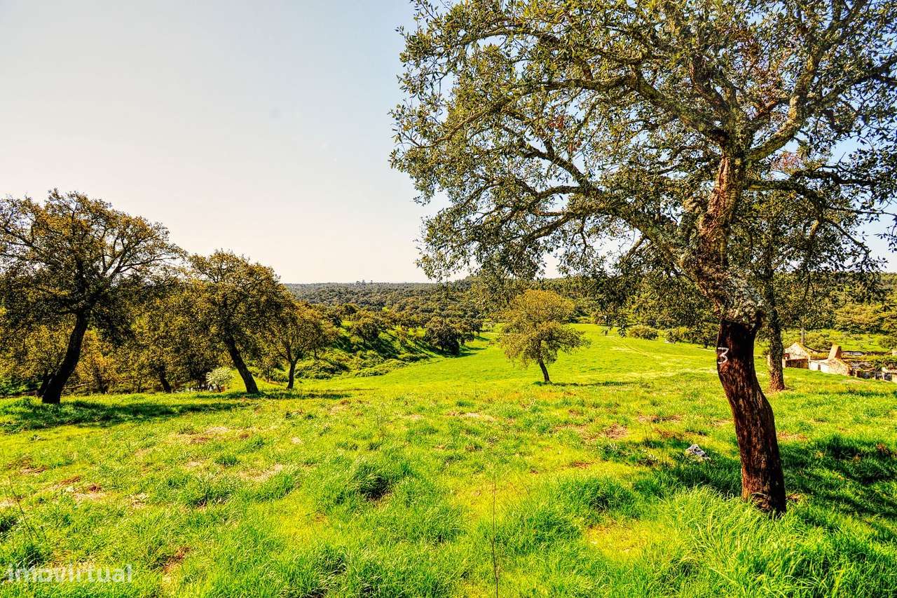 TERRENO EM S.BARTOLOMEU DA SERRA-34