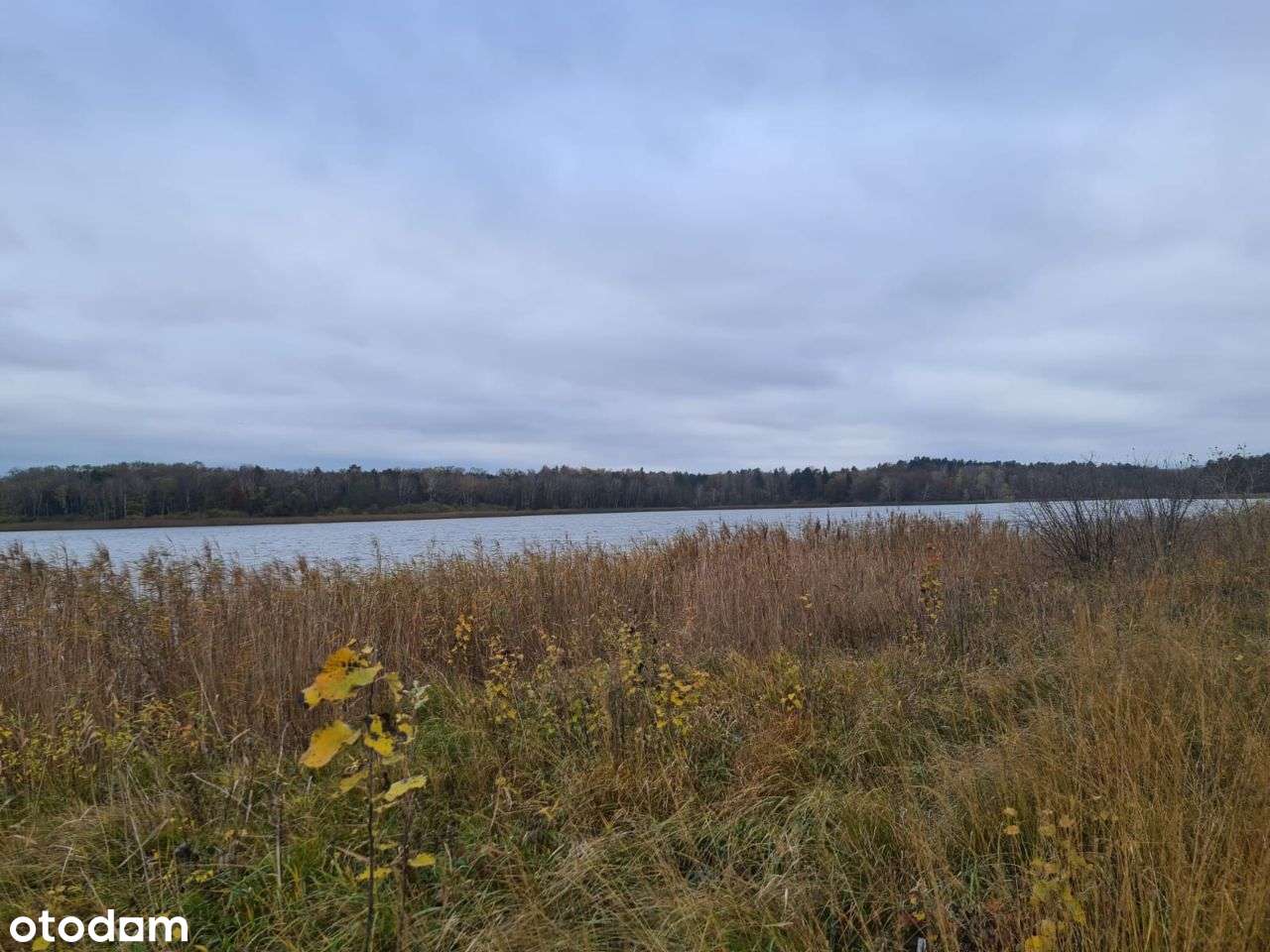 Działka budowlana nad jeziorem Będzin!-12