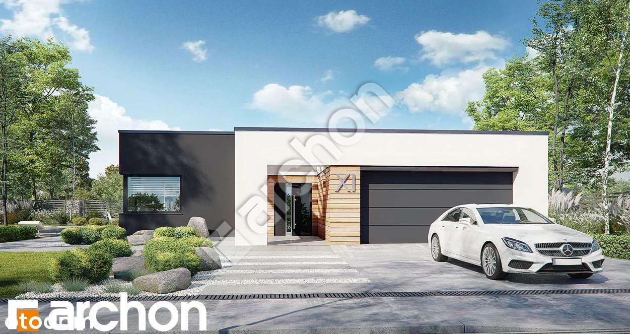 DZIAŁKA RĄBIEŃ AB ZIEMIAŃSKA - Pełny obrazek: 4/4