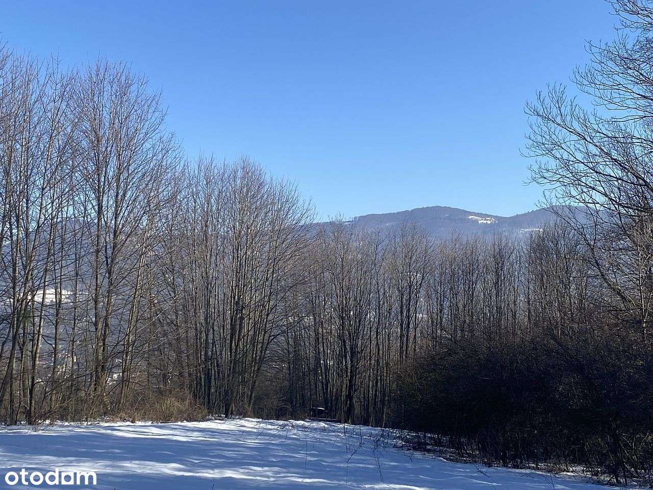 Ustroń - działka 21 ar - Pełny obrazek: 4/20