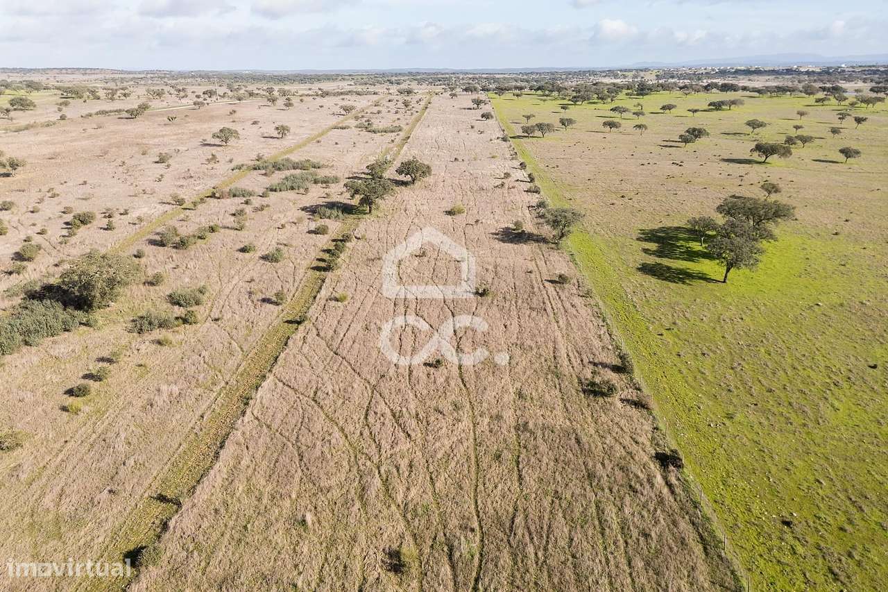 Terreno de 5,4 ha c/ Viabilidade de Construção | Capelins, Alandroal-40