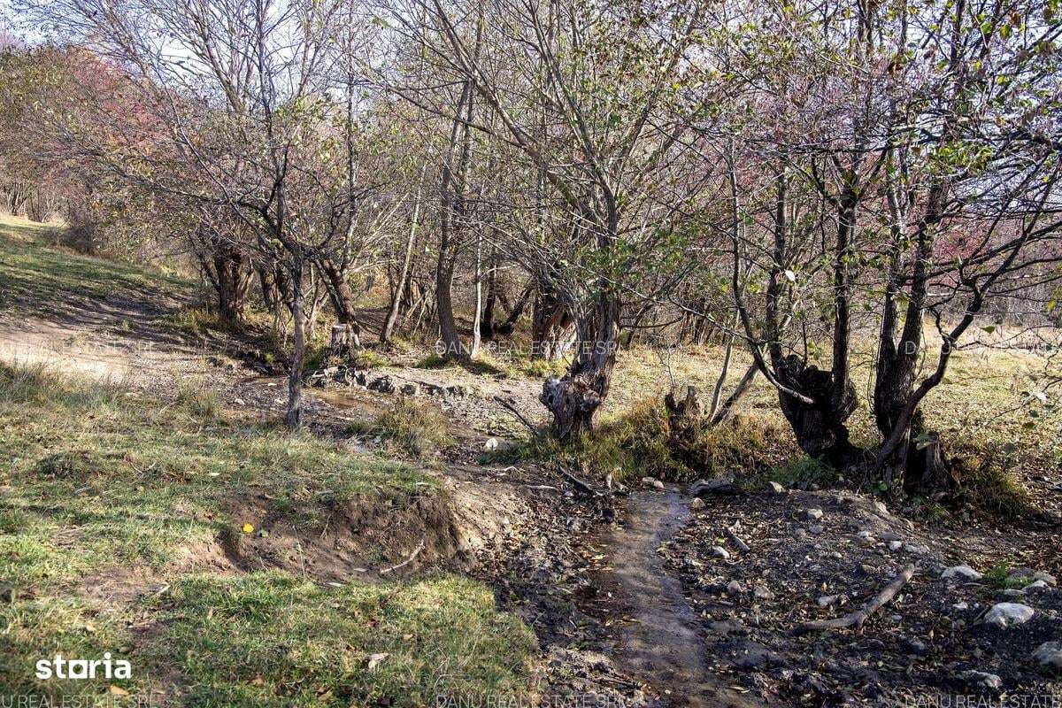 Comision0Teren intravilan 5723mp Zarnesti Tohanita-investitie - turism-8