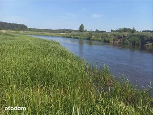 Działka z linią brzegową rz. Nida blisko węzła S7