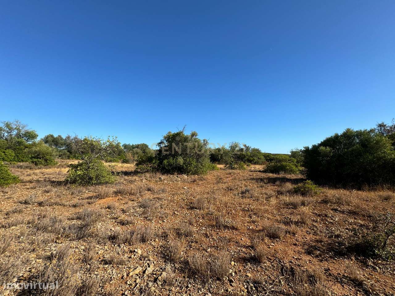 Terreno Agrícola para Venda – Santa Catarina, Tavira com 10.320 m2, - Grande imagem: 4/16