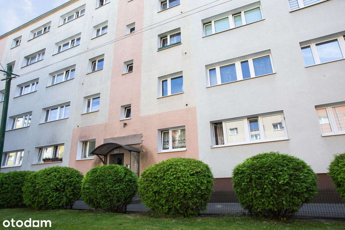 Mieszkanie blisko Lasku Marcelińskiego Grunwald-12