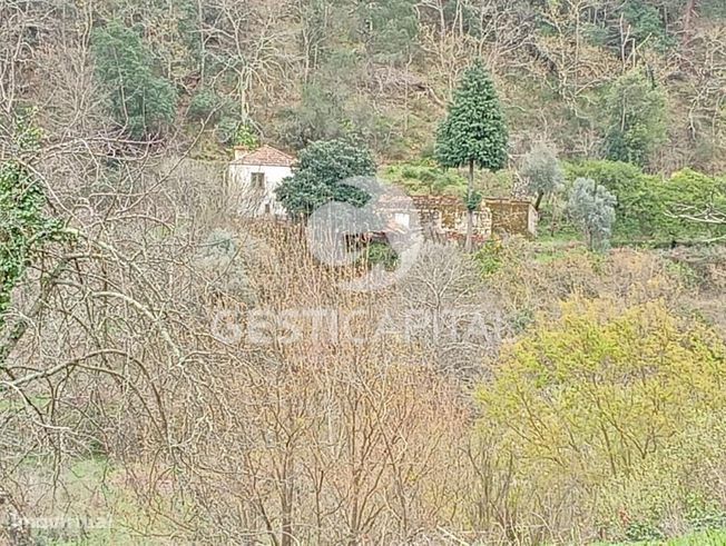 Oportunidade Única: Quinta para Habitação, Turismo ou Agricultura em M-16