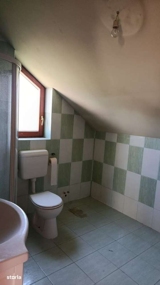 BEIUS, AUREL VLAICU CASA P+M, 200 MP SI TEREN 250 MP.-4