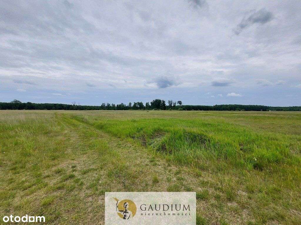 Turystyka nad brzegiem rzeki Obry-13