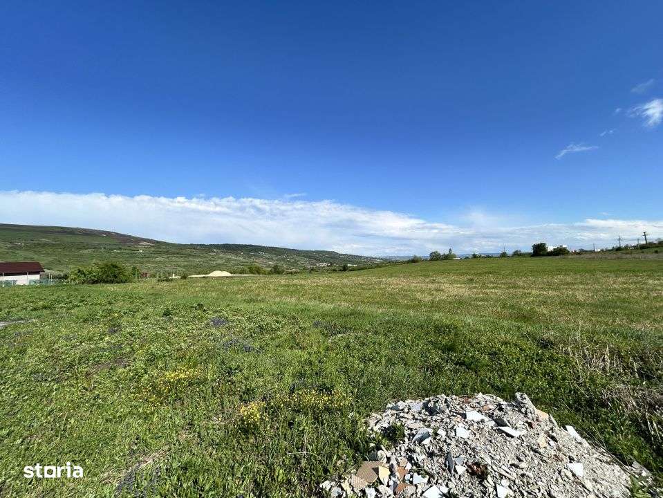 Teren Valea Chintaului / Cluj 5.547mp  parcelabil - Imagine principală: 2/7