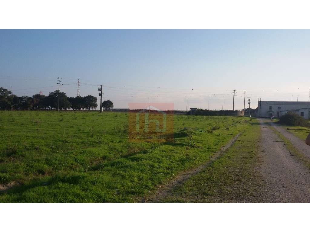 Terreno com 9 ha com viabilidade para turismo/agrícola em Benavente - Grande imagem: 5/20