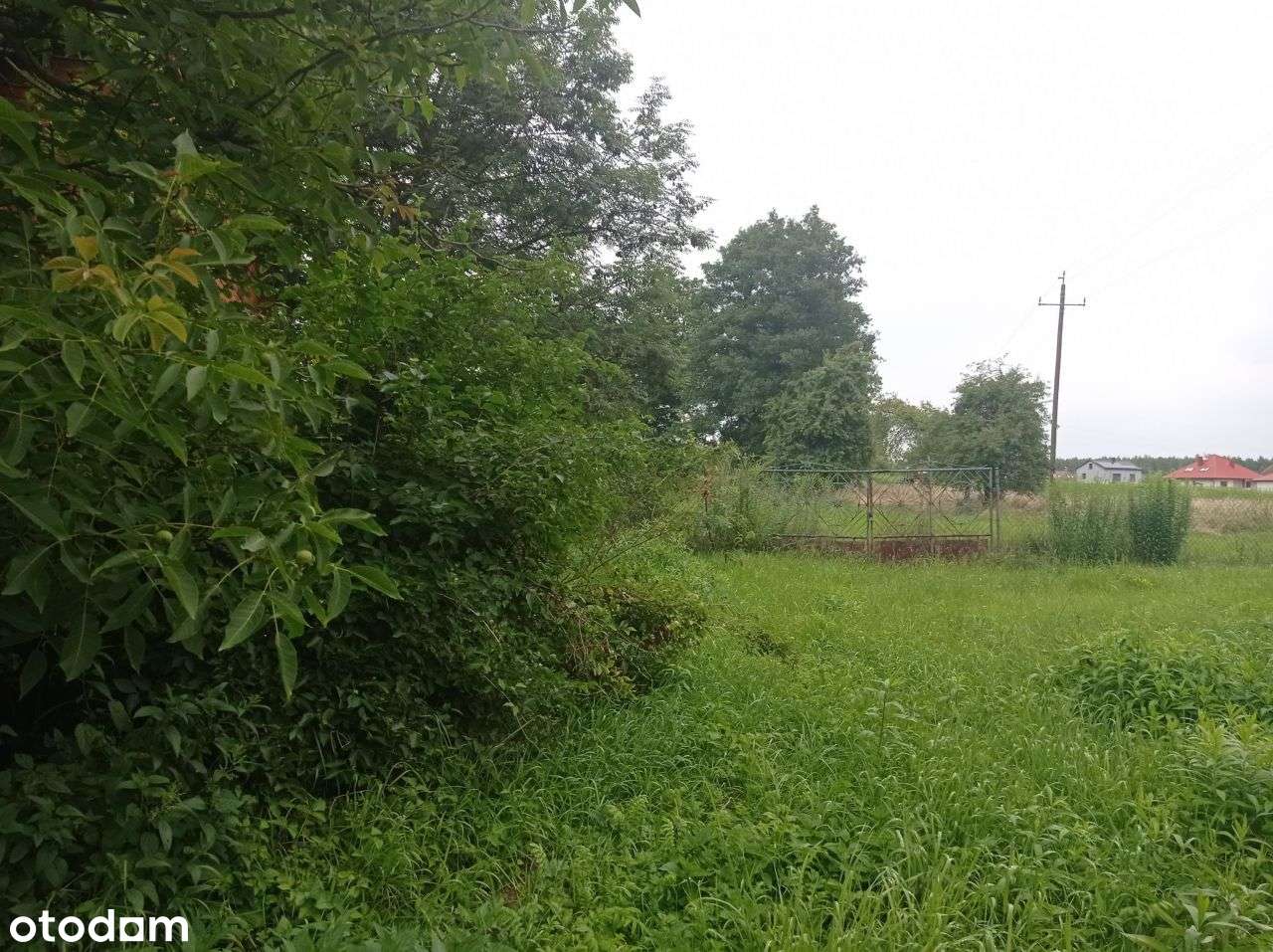 Przepiękna działka ok.15.000m2.Plus Dom ok.90m2. - Pełny obrazek: 4/5