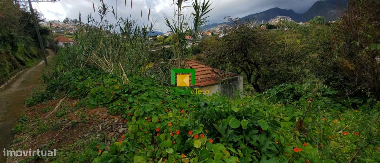 Terreno - Pico dos Barcelos - Grande imagem: 4/7