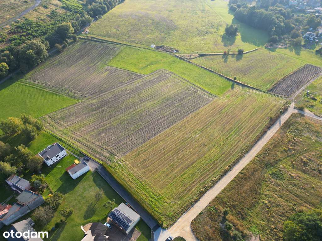 Droga publiczna, media w drodze !-5