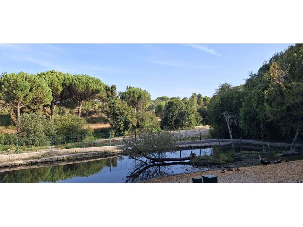 Luxuosa propriedade entre Grândola e Comporta, com 24 hectares-32