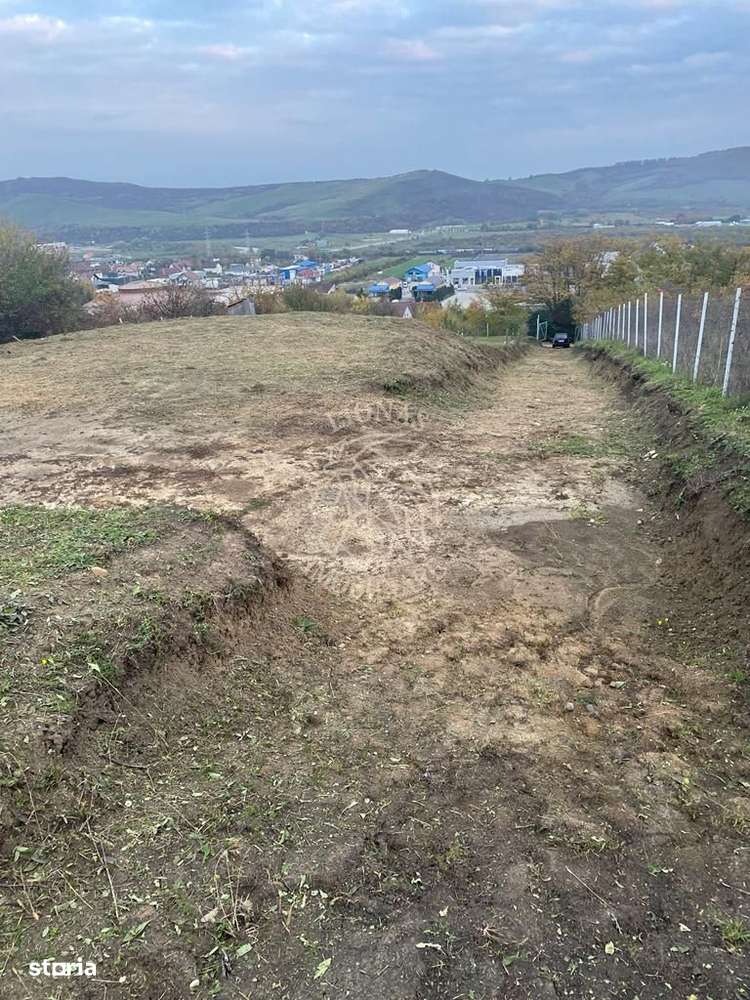 Teren intravilan 2700 mp-ideal case/investitie-Viisoara - Imagine principală: 4/6