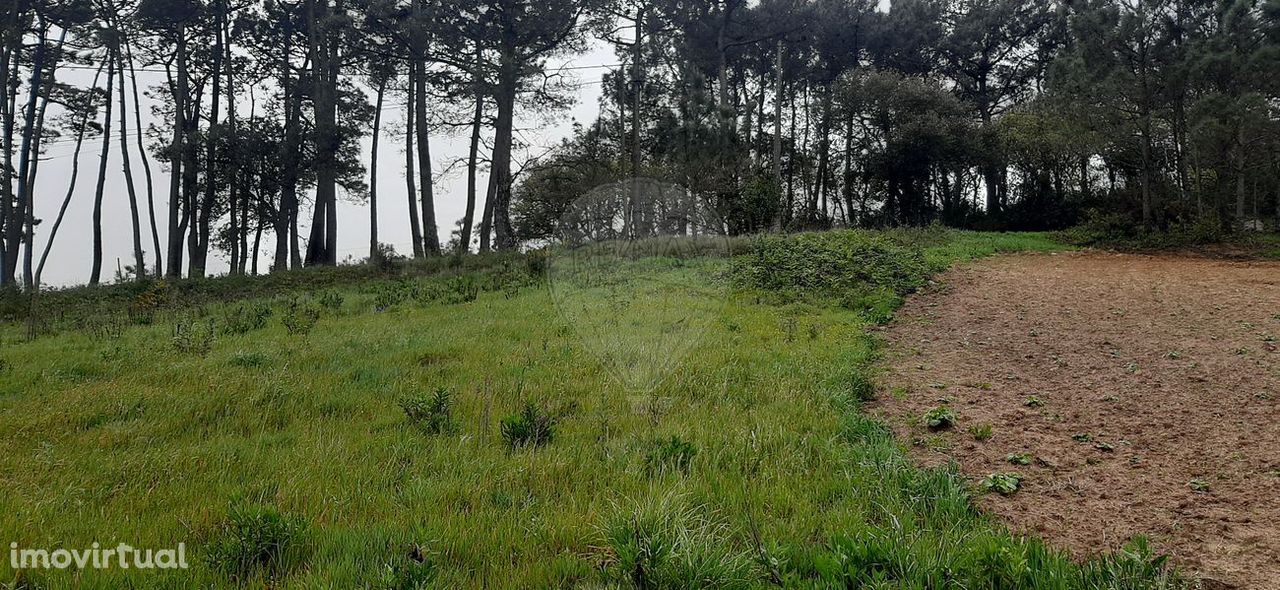 Terreno  para venda