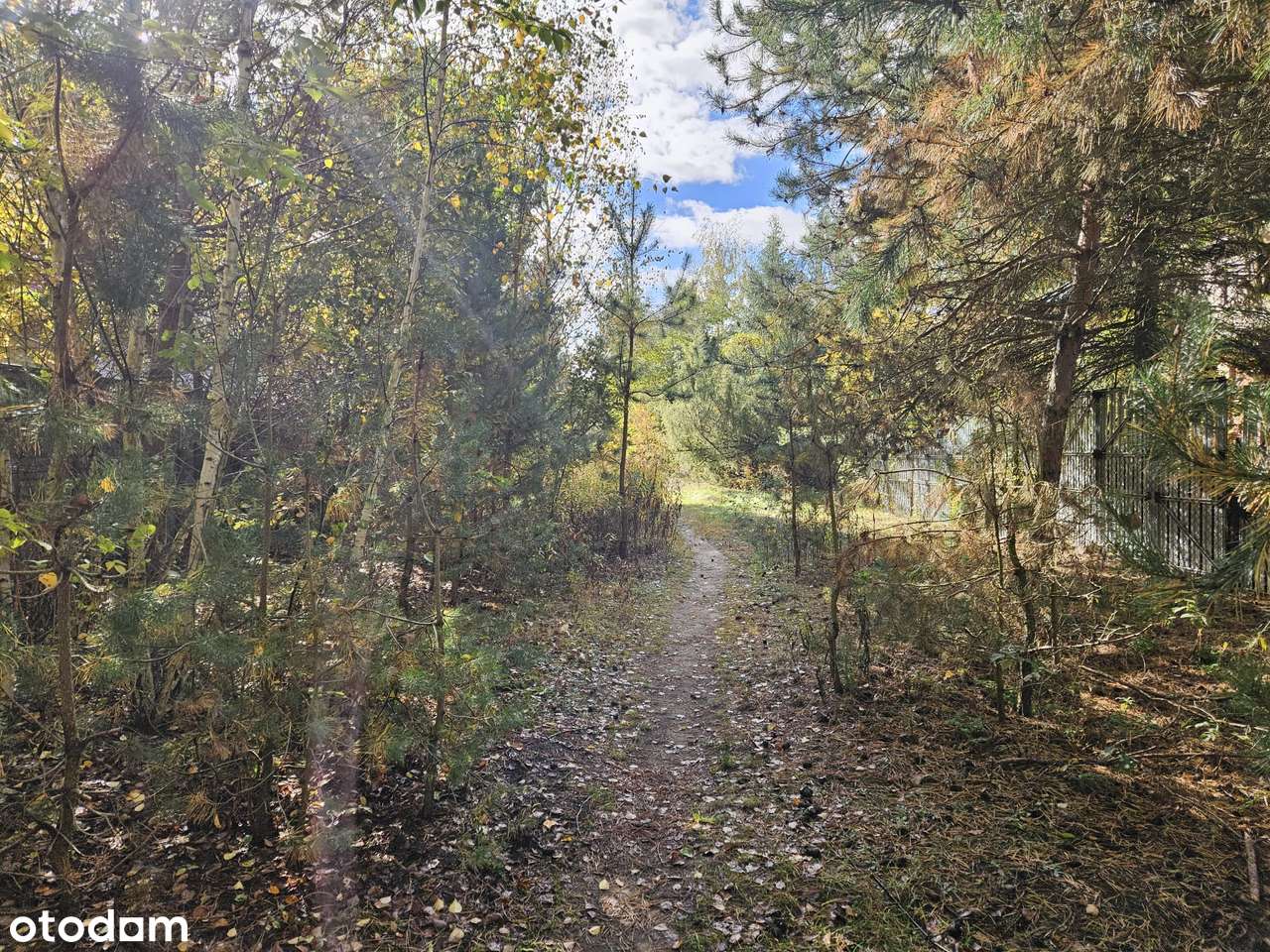 działka budowlana Izabelin Truskaw-4