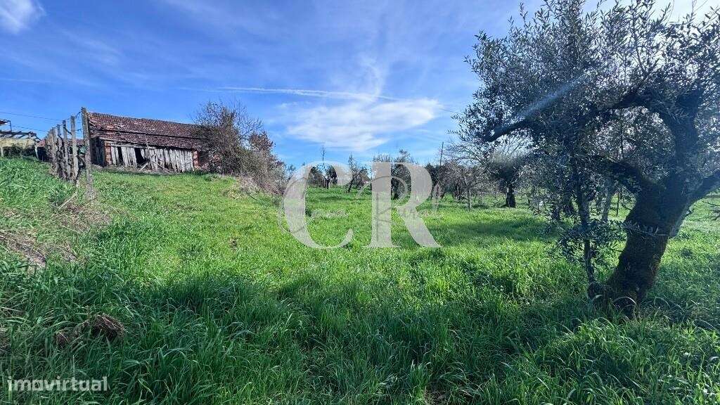 Quinta com casas de pedra para recuperar, poço e furo-24