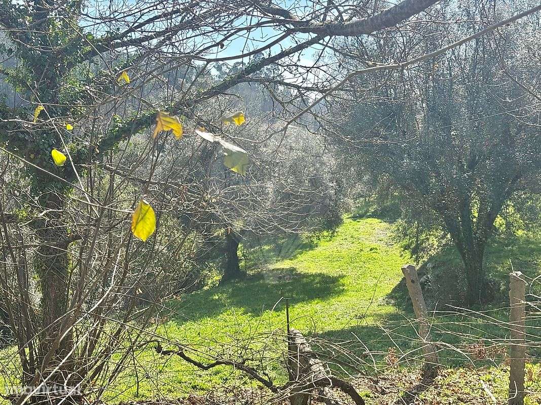 Terreno  para venda-17