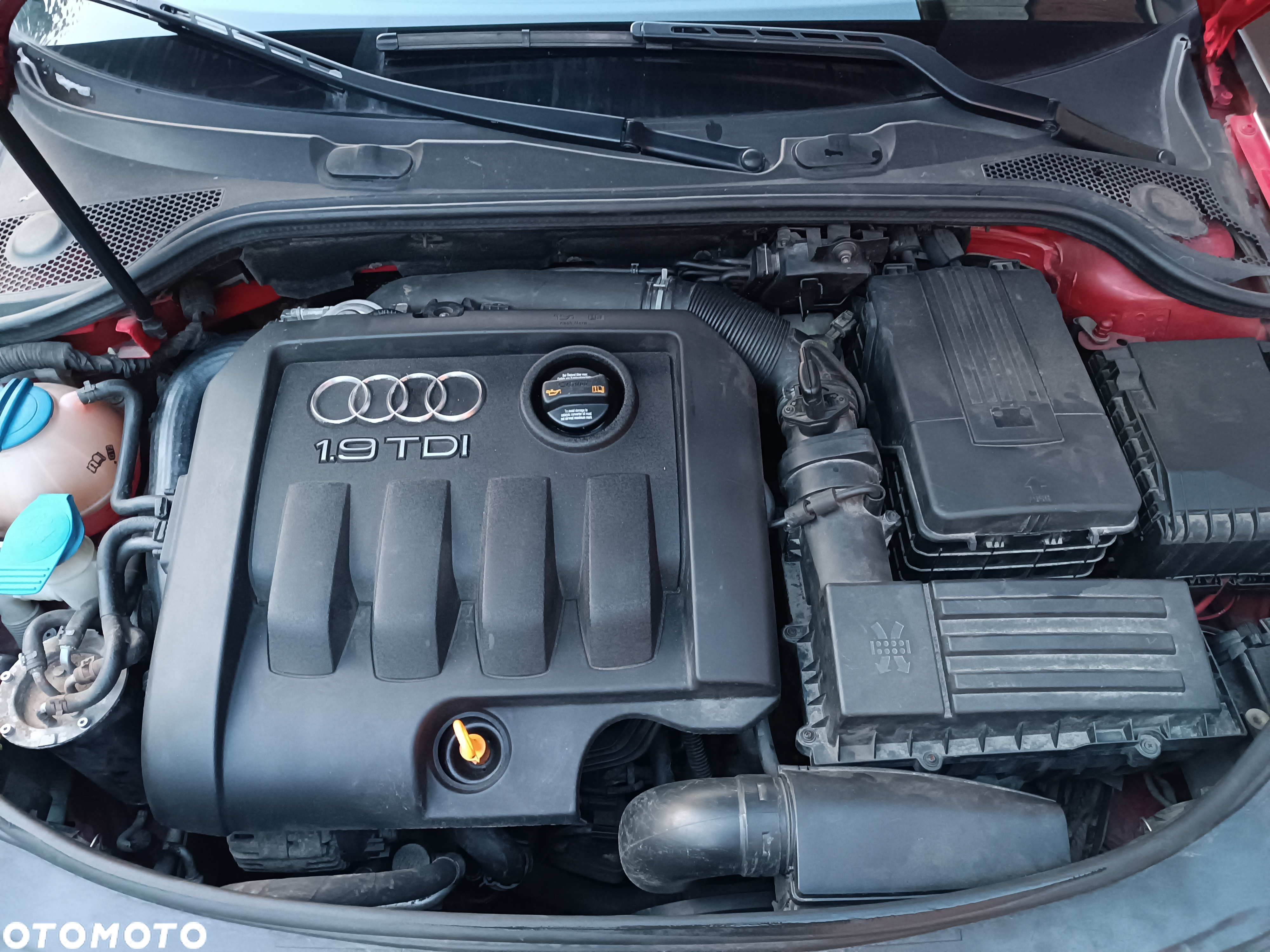 Audi A3 1.9 TDI Ambition - 8