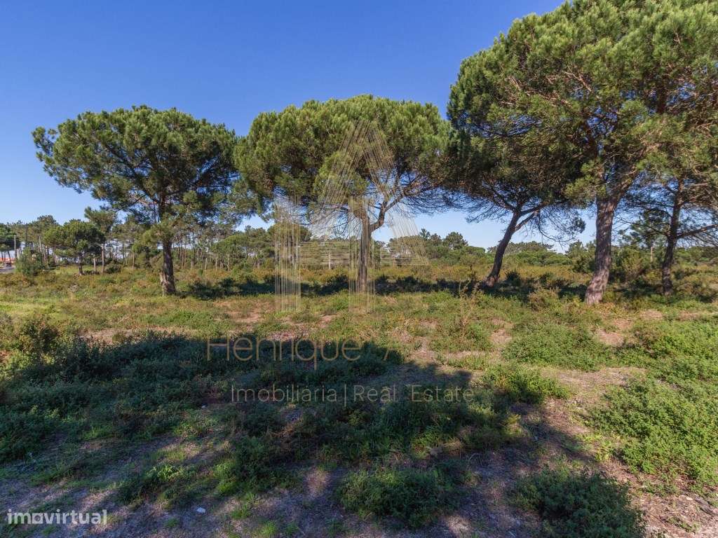 Terreno rural em Aldeia do Meco - Grande imagem: 5/7