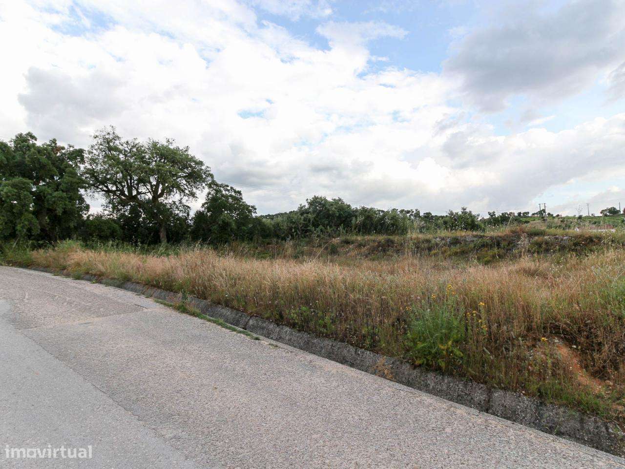 Terreno para Construção de Moradia na Chamusca - Grande imagem: 3/6