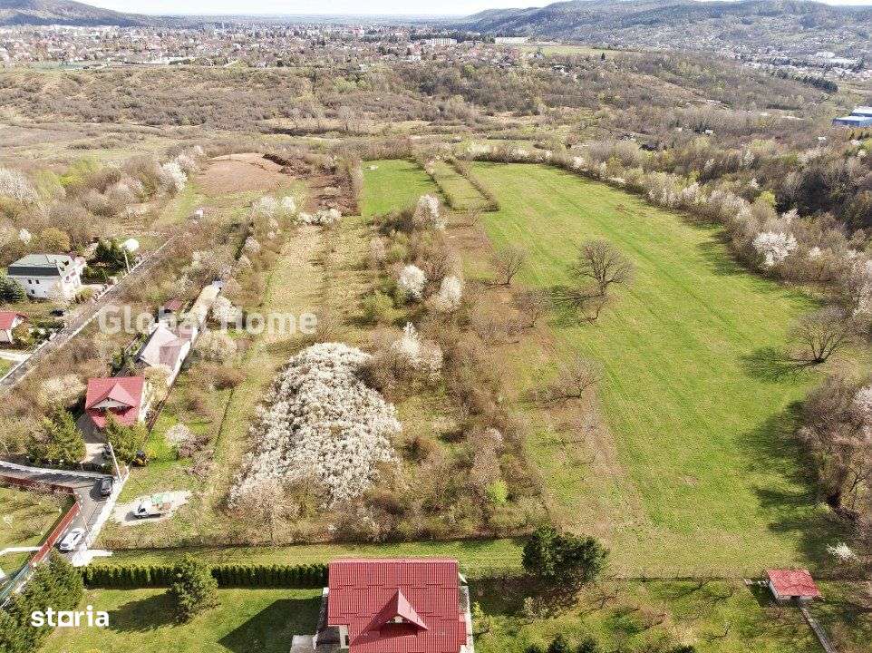 Mountain Plateau - 23.345 SQM - Exclusive Estate | Jud Prahova - Valea - Imagine principală: 5/10