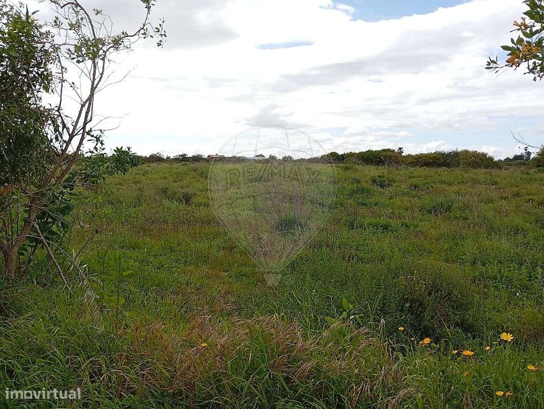 Terreno  para venda-4