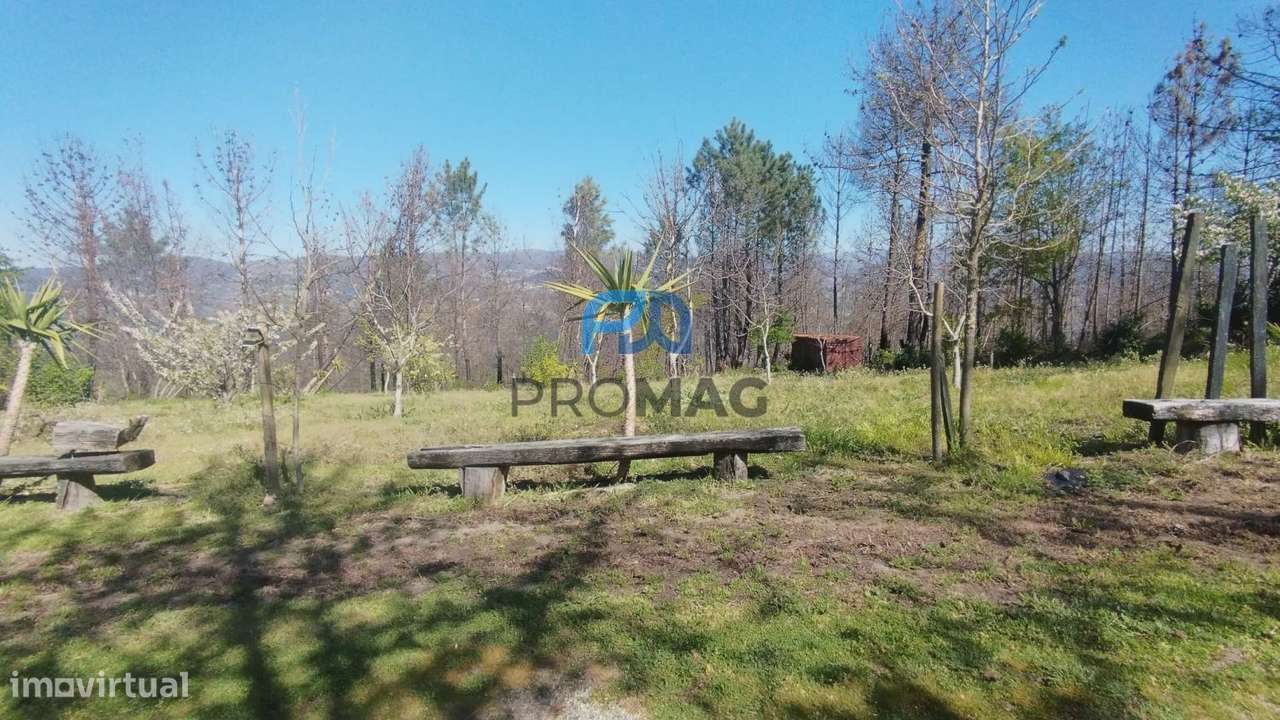 Quinta com 3 artigos urbanos, piscina e 9,4 ha em Resende-9