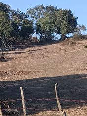 Terreno  para venda - Grande imagem: 4/7