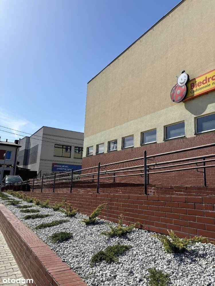 Duży lokal z parkingiem - Pełny obrazek: 3/20