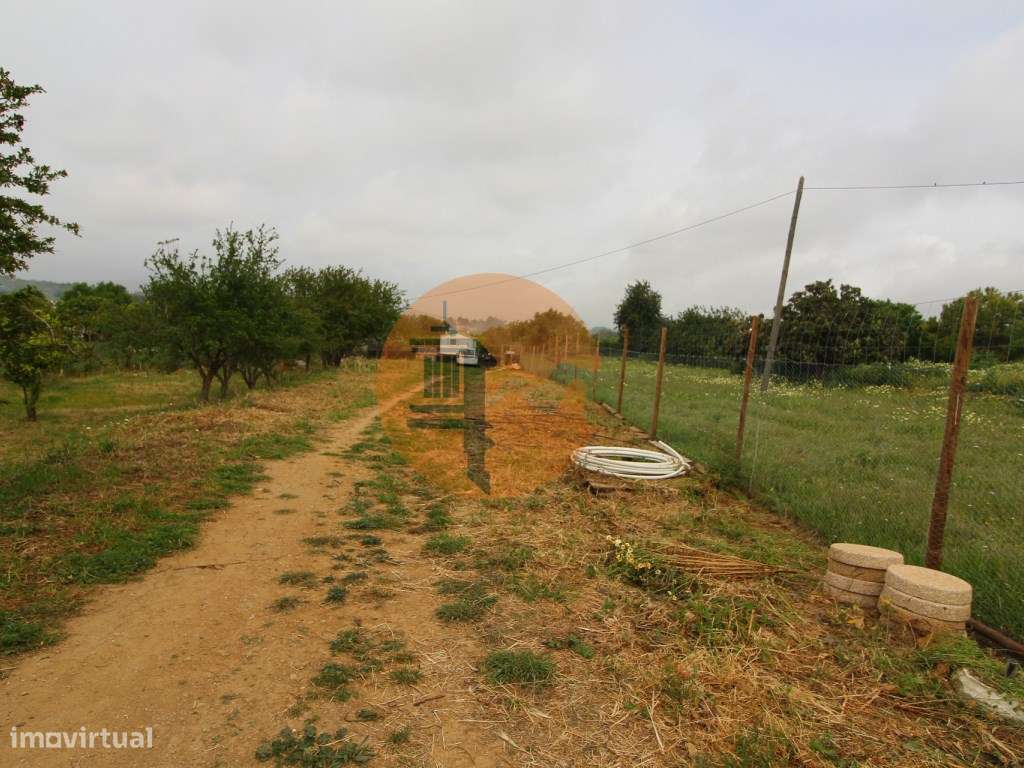 Terreno Rústico em Luz de Tavira - Grande imagem: 5/23