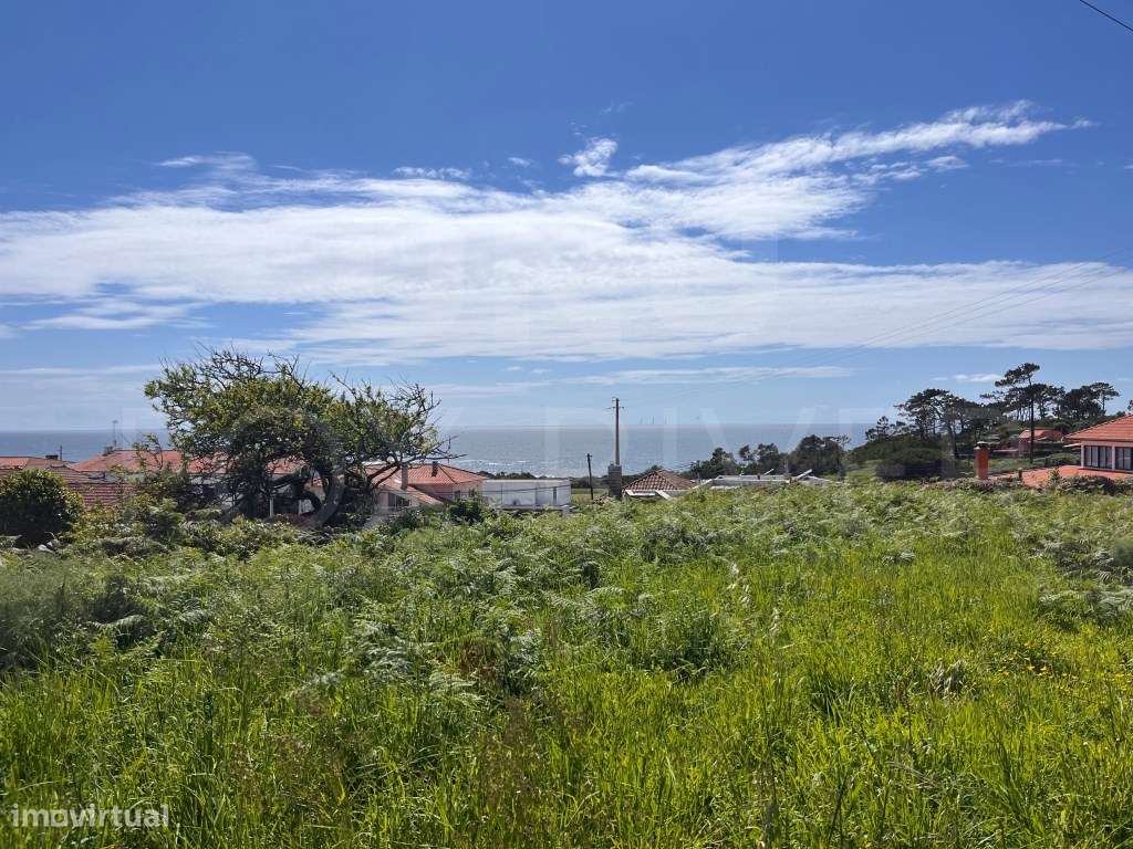 Terreno em Montedor, Carreço - Vista Mar Deslumbrante e Excelente P... - Grande imagem: 1/25