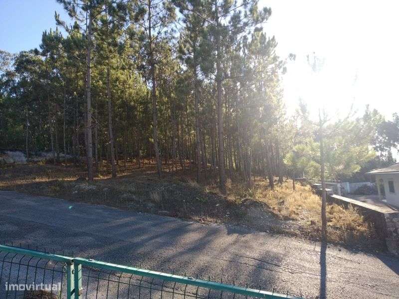 Venda de Terreno para construção aldeia de Barreiros a 7km de Leiria - Grande imagem: 4/4